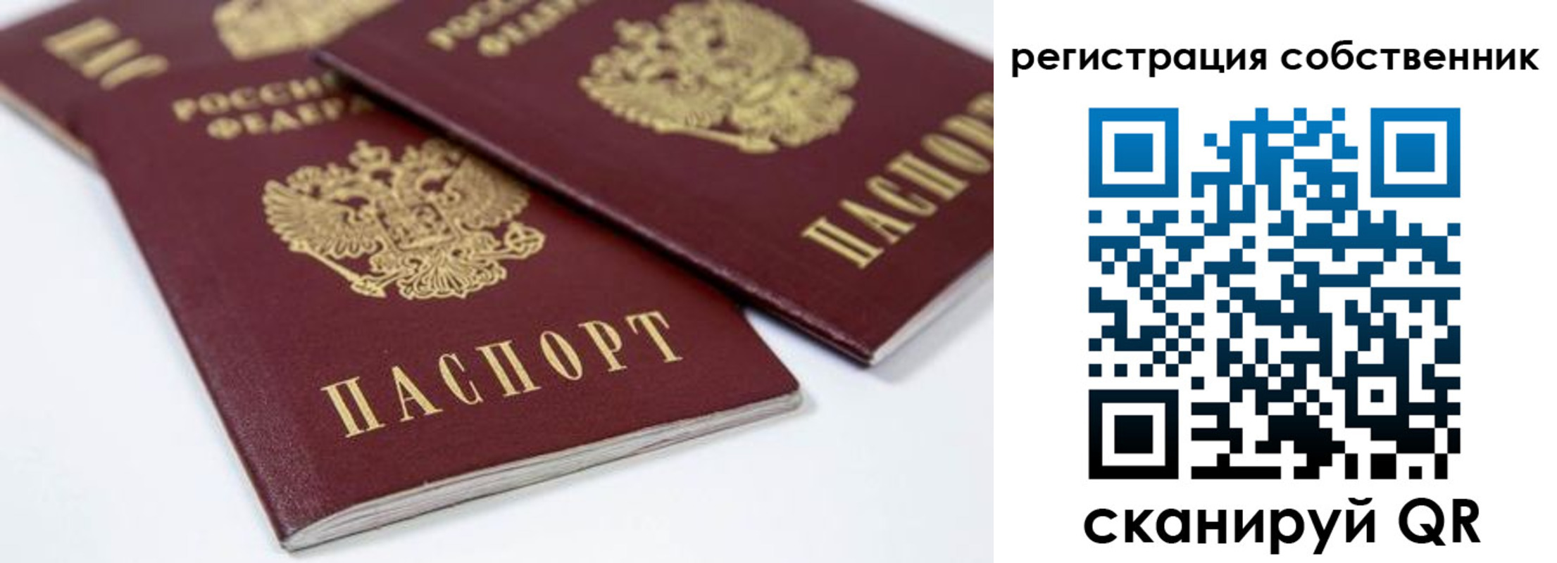 прописка для школы в Камчатском крае